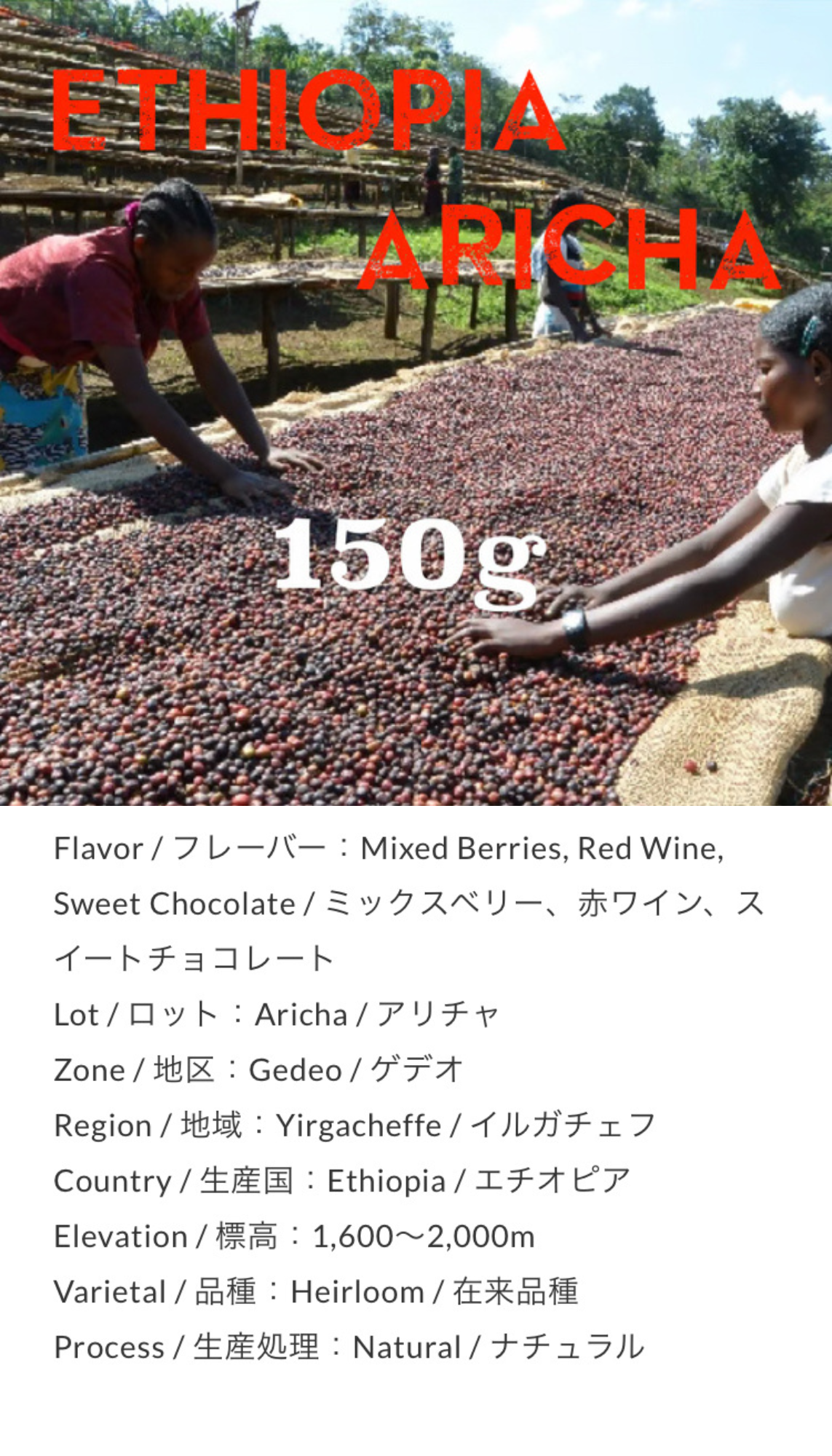 Ethiopia ARICHA Natural 150g by Unlimited Coffee Roasters (東京)