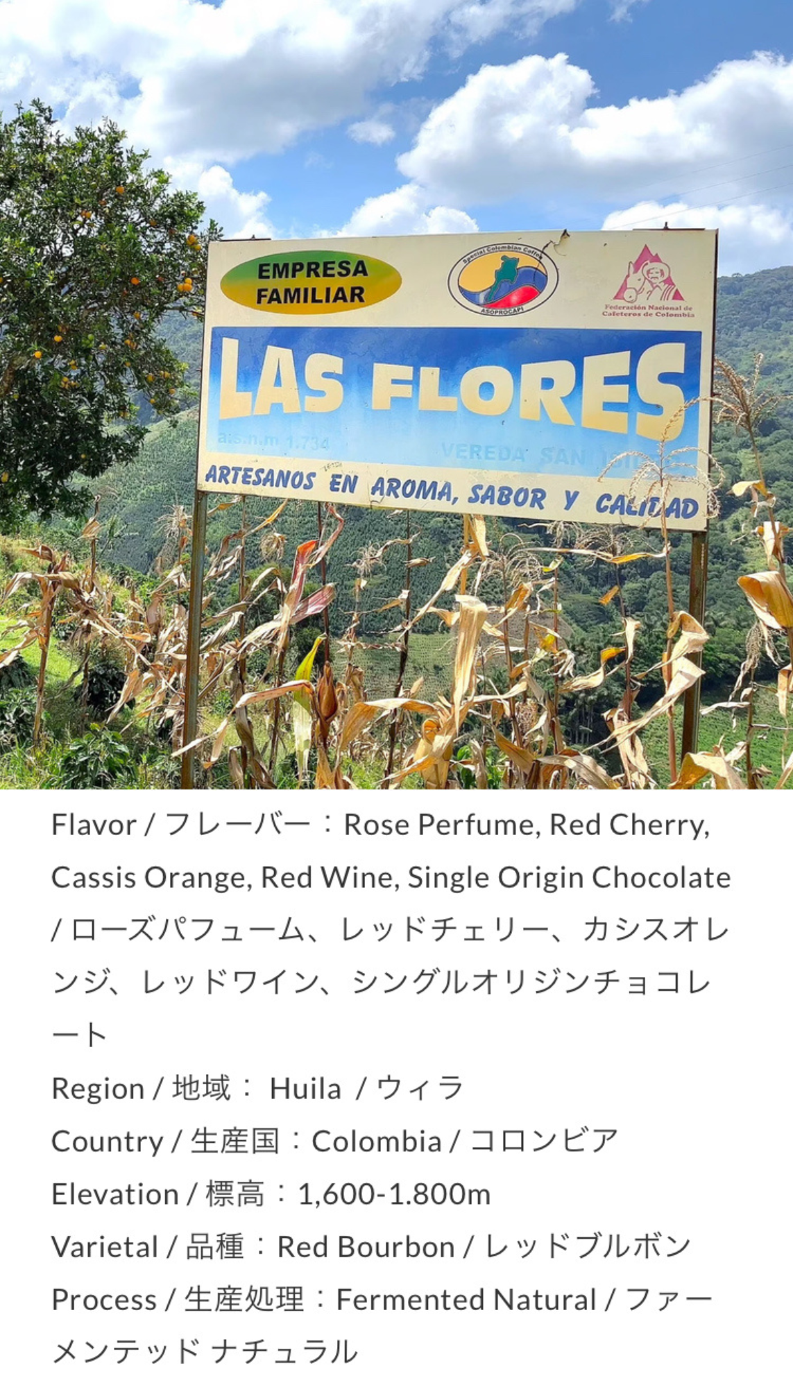 Colombia Las Flores Fermented Natural 100g by Unlimited Coffee Roasters (東京)