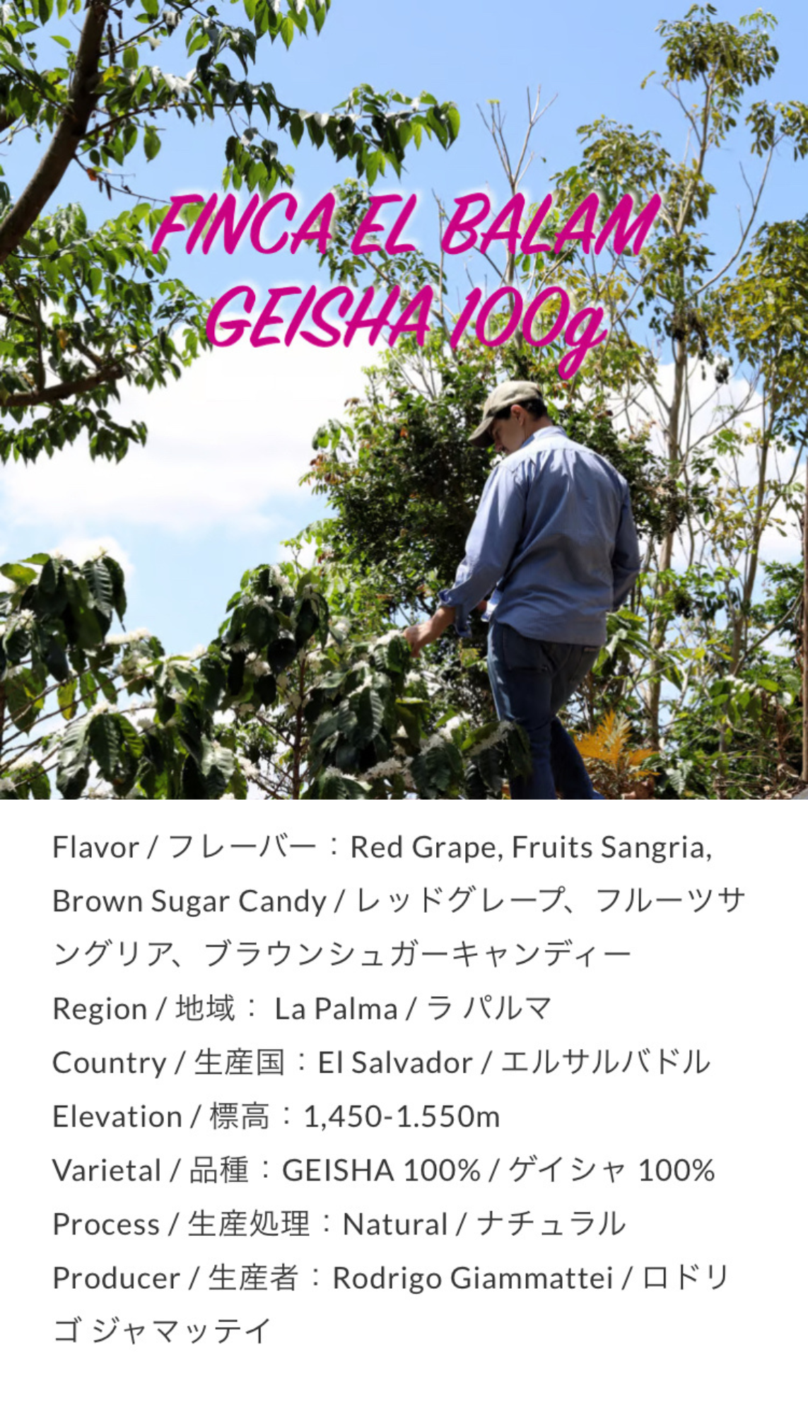 El Salvador Finca El Balam Geisha Natural 100g by Unlimited Coffee Roasters (東京)