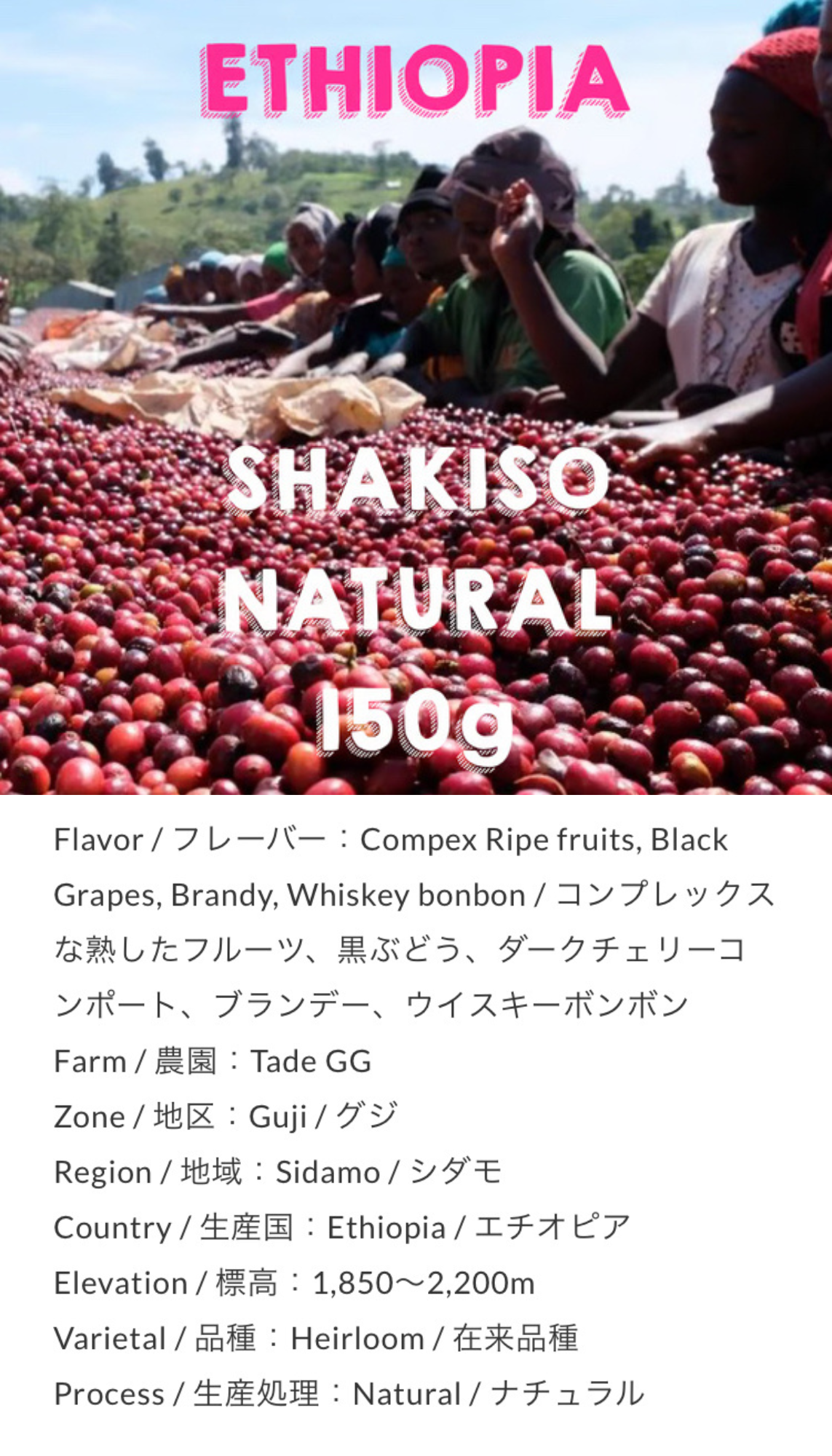 Ethiopia Sidamo Shakiso Natural 150g by Unlimited Coffee Roasters (東京)