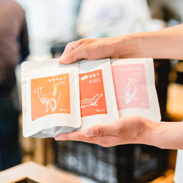 3x150g 烘焙師推介 by LIGHT UP COFFEE ROASTERS (東京)
