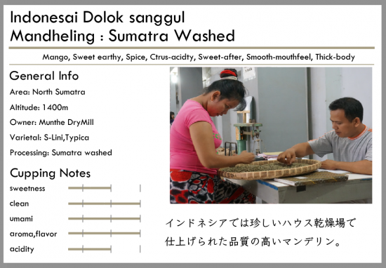 深焙 Indonesia Mandheling Sumatra Washed 100g by Tsukikoya Coffee