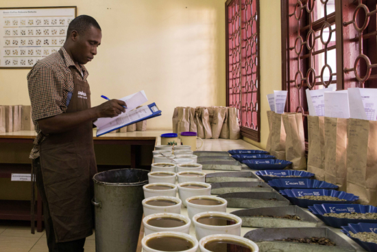 深焙 Tanzania Tarime Washed 100g by Tsukikoya Coffee