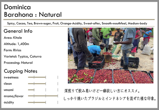 深焙 Dominica Barahona Natural 100g by Tsukikoya Coffee