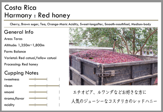 淺/中/深焙 Costa Rica Harmony Red Honey 100g by Tsukikoya Coffee