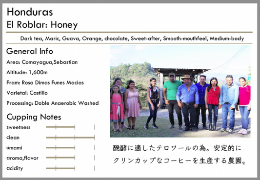 淺/中焙 Honduras El Roblar Honey 100g by Tsukikoya Coffee