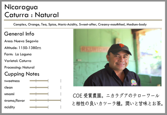 淺/中焙 Nicaragua Caturra Natural 100g by Tsukikoya Coffee