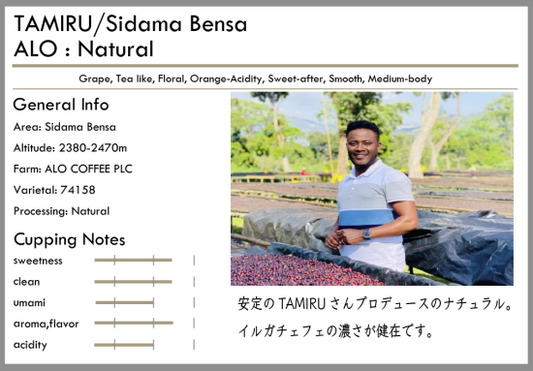 [特選] 淺焙 Ethiopia TAMIRU Sidama Bensa ALO Natural 100g by Tsukikoya Coffee
