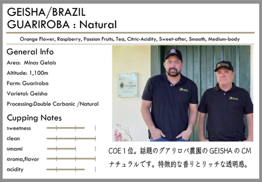 [特選] 淺焙 Brazil Geisha Guariroba Natural 100g by Tsukikoya Coffee