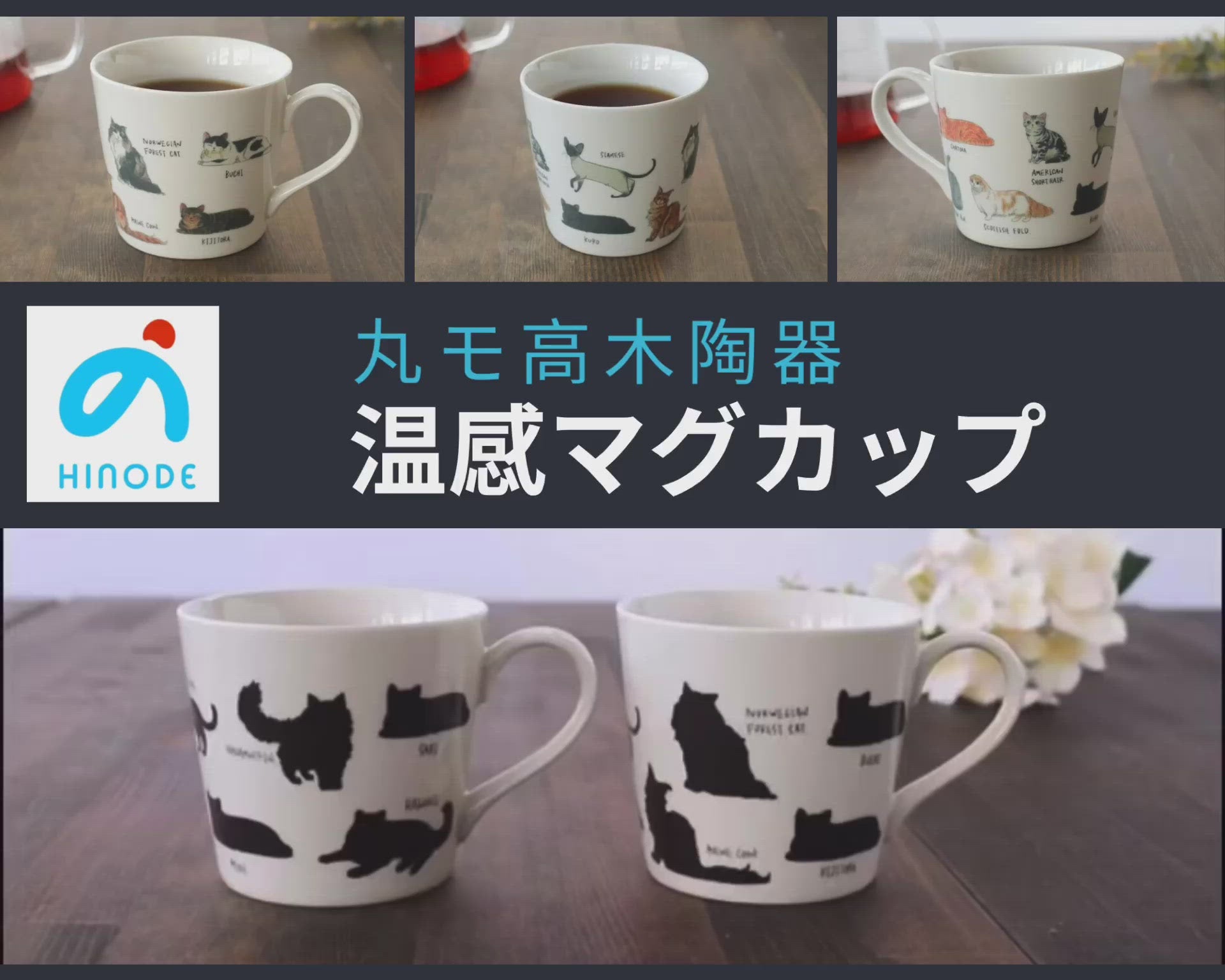 Maruma Takagi pottery cat thermochromic cup (parallel import)